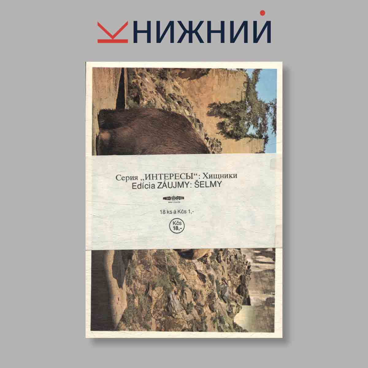 Набор открыток. "Серия "Интересы": Хищники. Edicia Zaujmy: Selmi"