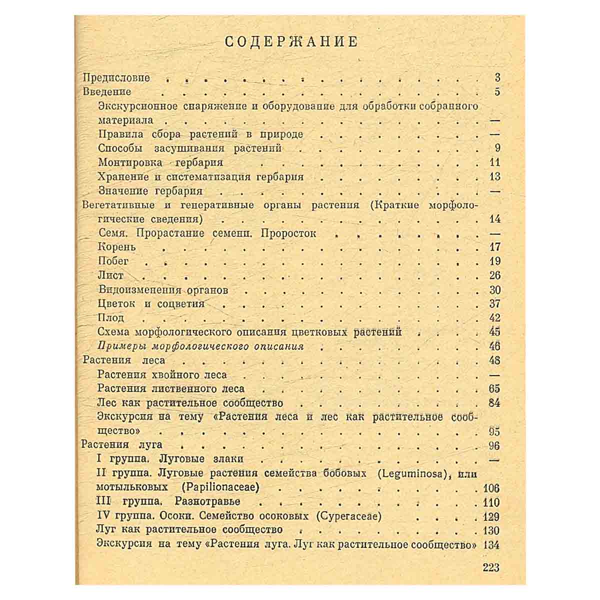 Летняя полевая практика по ботанике