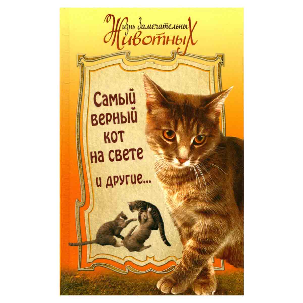 Самый верный кот на свете и другие...