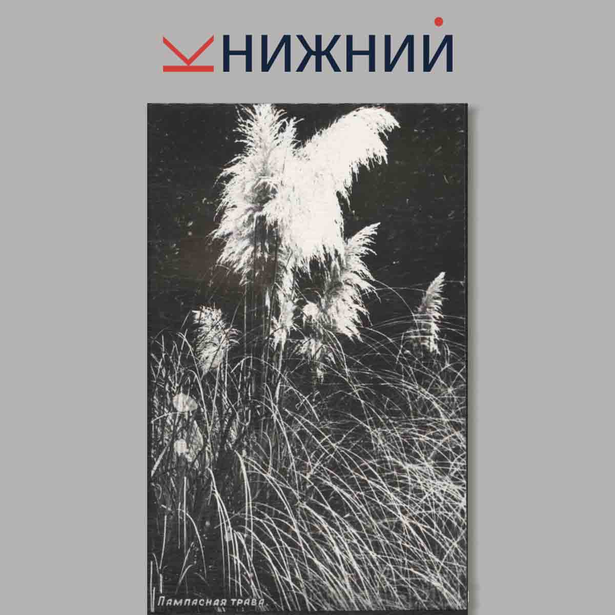 Набор открыток. Никитский Ботанический сад.