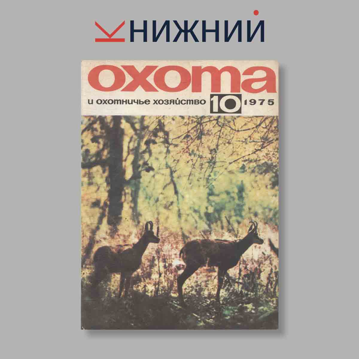 Журнал Охота и охотничье хозяйство. Выпуск № 10, 1975