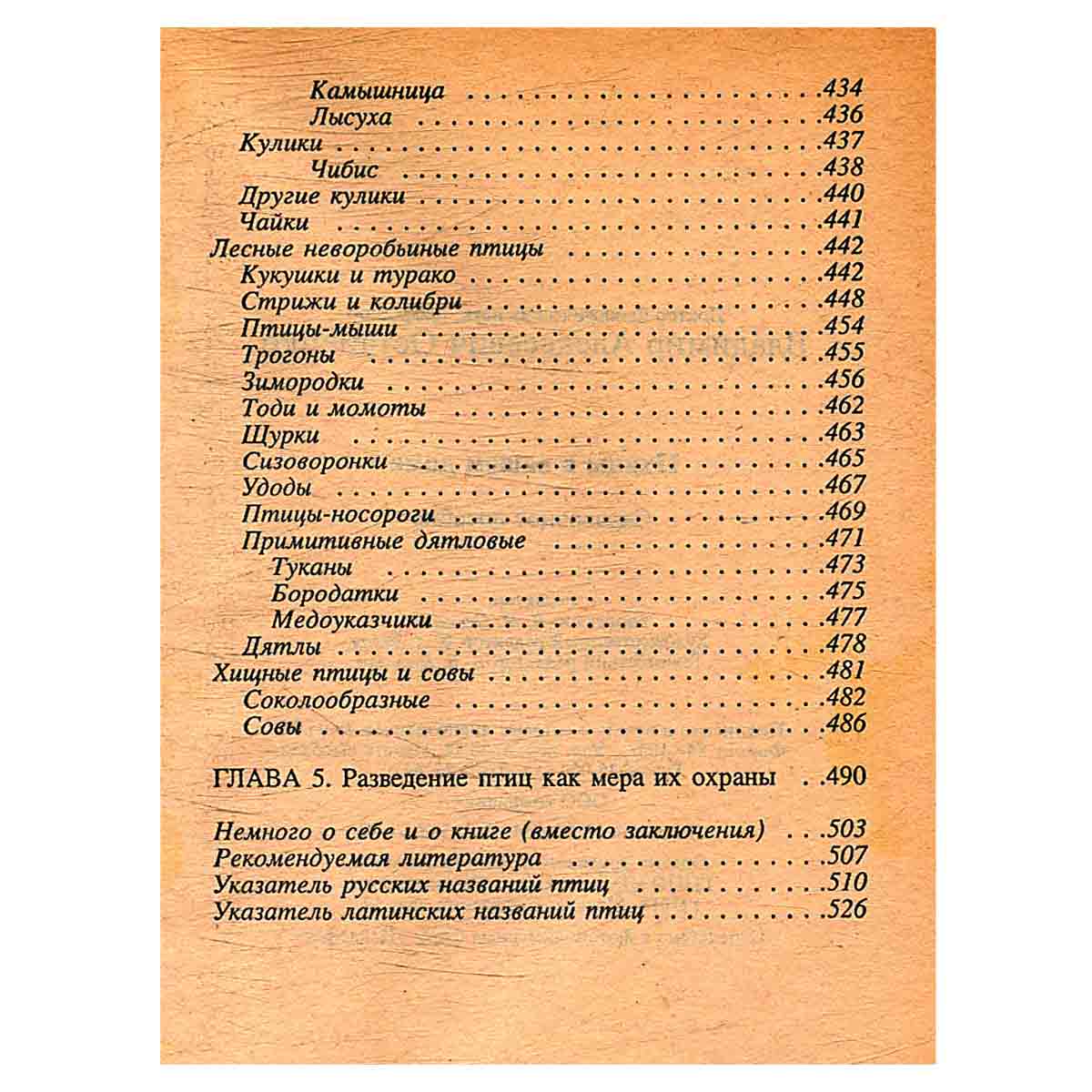 Птицы в нашем доме