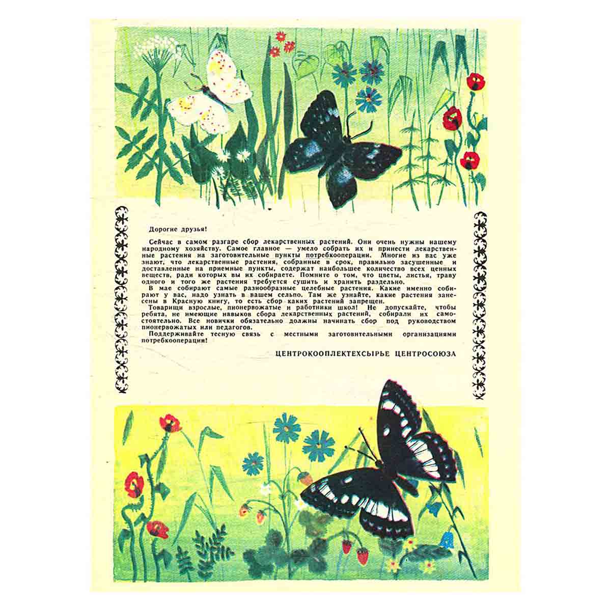 Журнал "Юный натуралист". Выпуск 5 1980 год