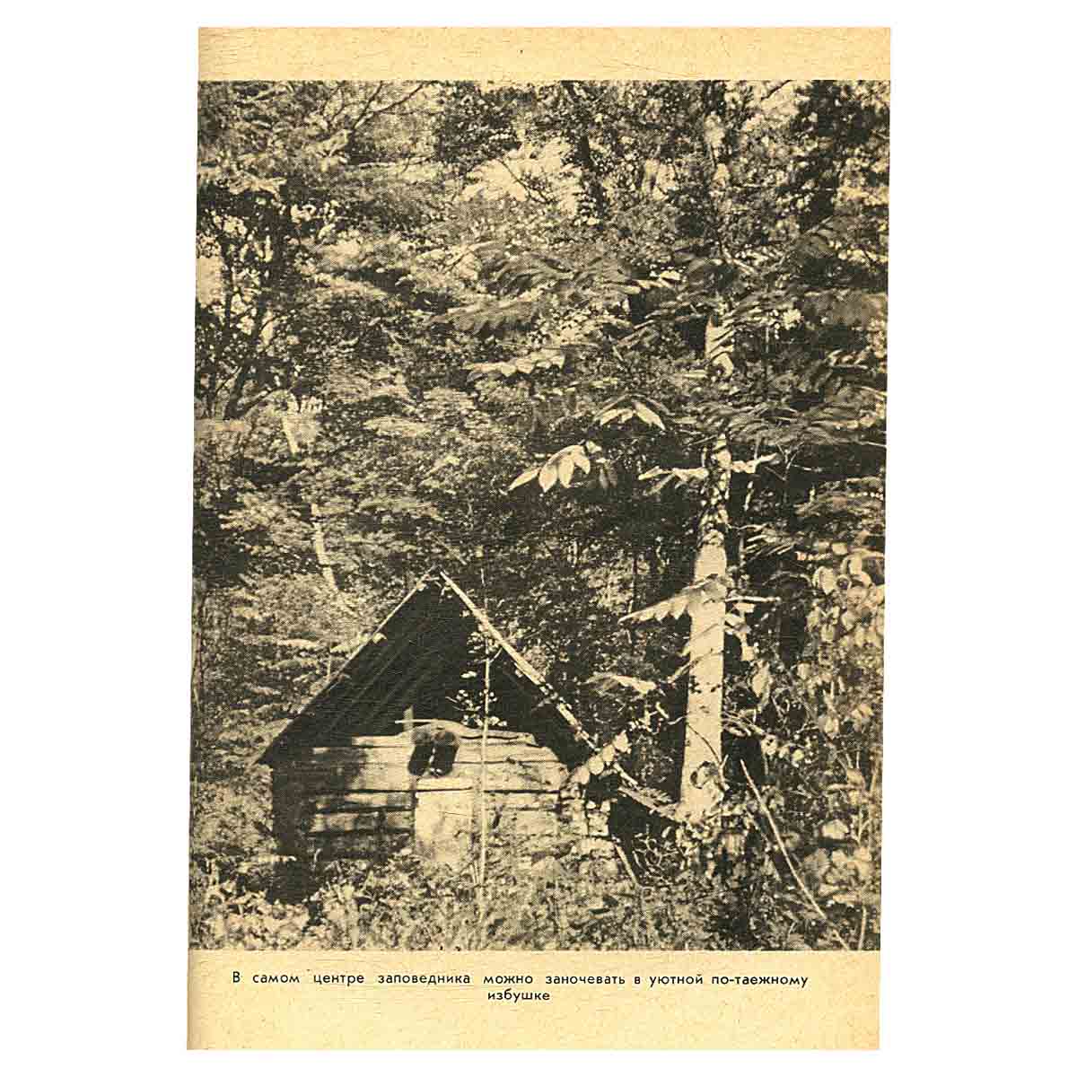 На суше и на море. 1963