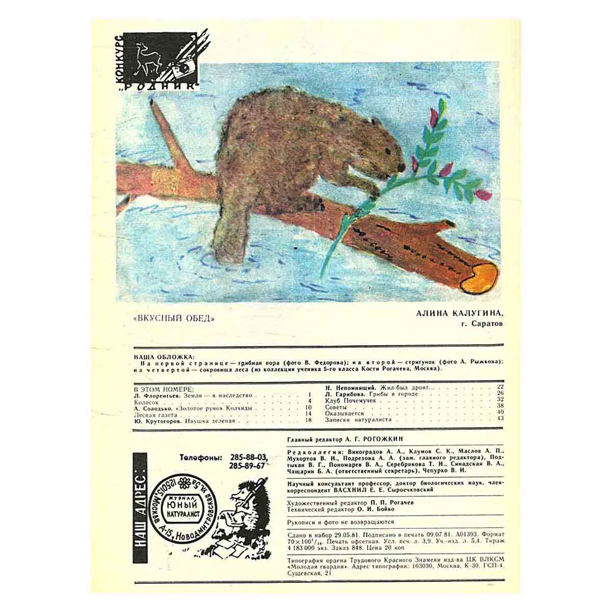 Журнал "Юный натуралист". Выпуск 8 1981 год