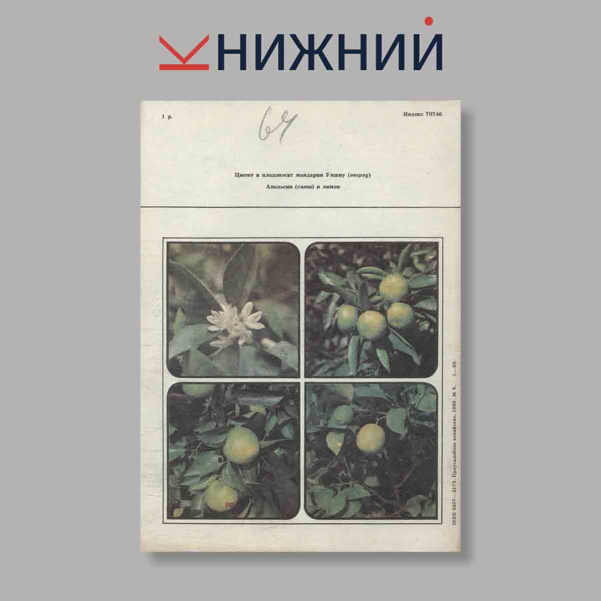 Журнал Приусадебное хозяйство.Выпуск №6 1989 год
