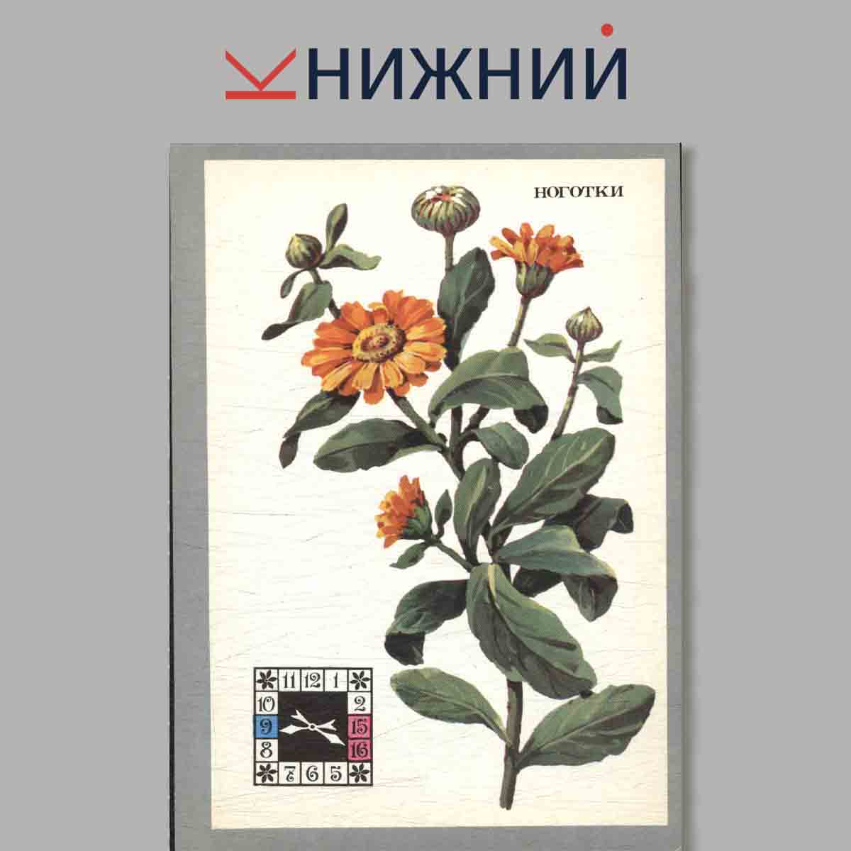 Набор открыток. Цветы-часы.