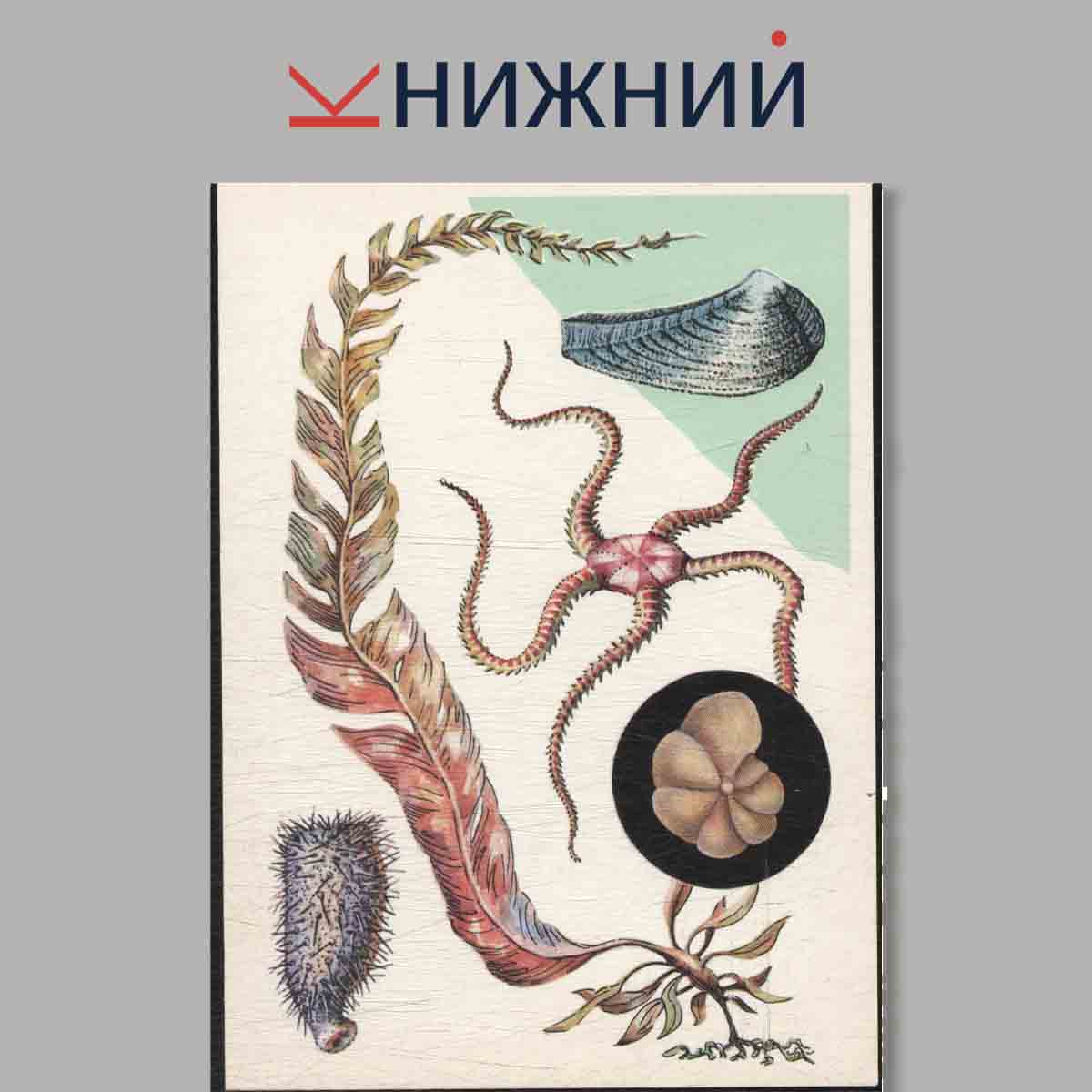 Набор открыток. У моря.