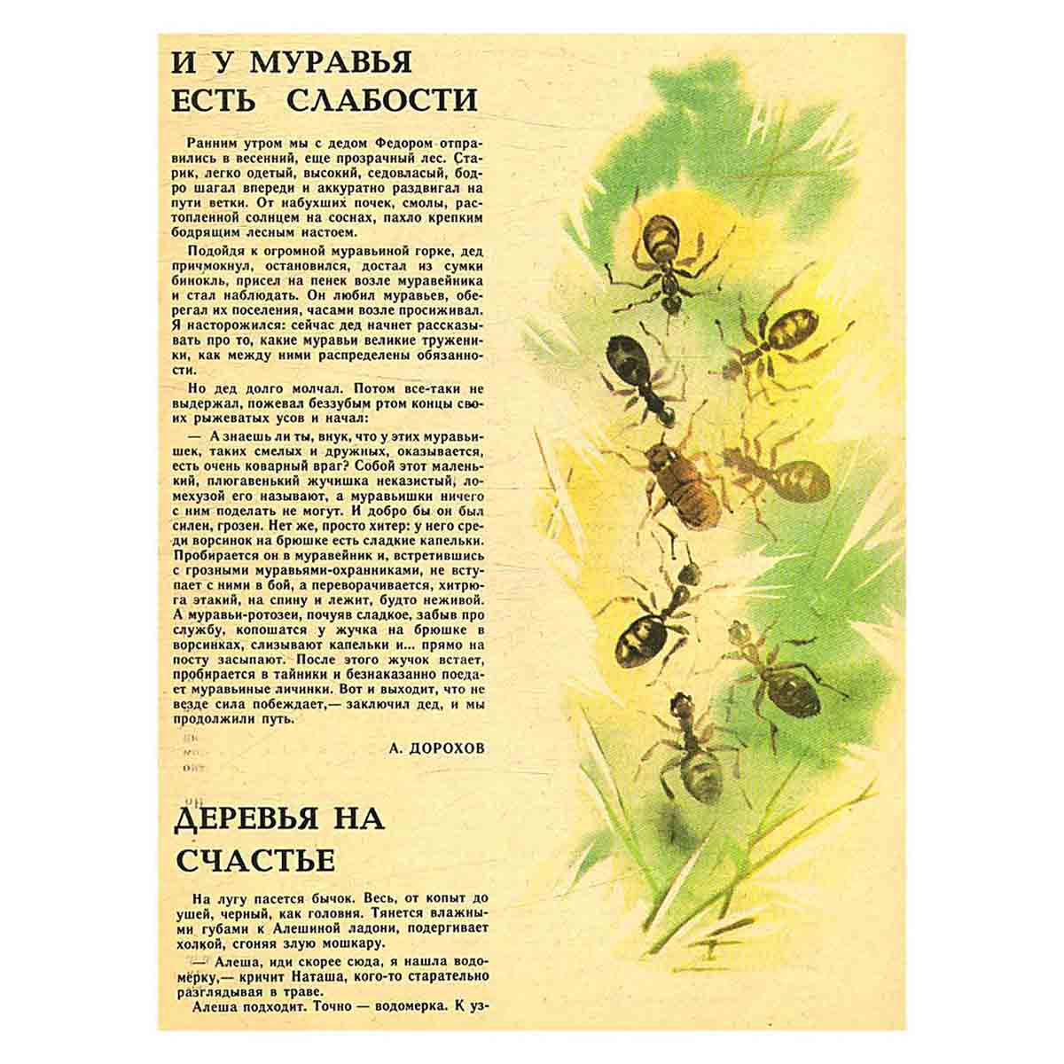 Журнал "Юный натуралист". Выпуск 4/1988 год
