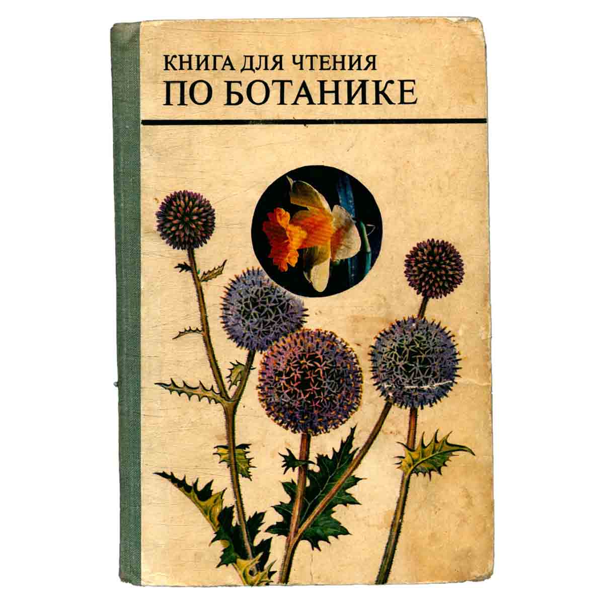 Книга для чтения по ботанике