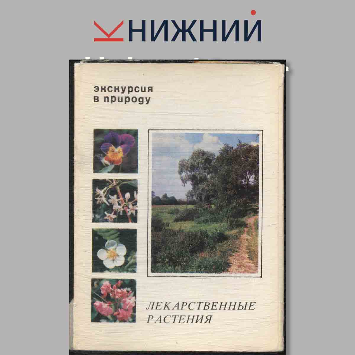 Набор открыток. Экскурсия в природу. Лекарственные растения. Выпуск 2.
