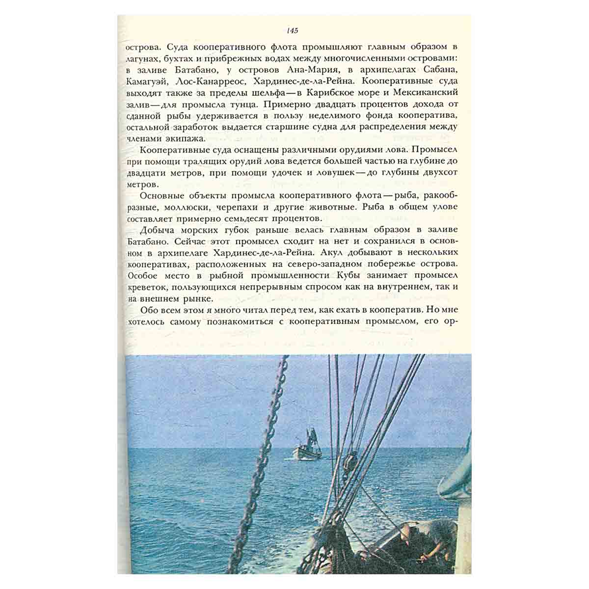 По дну тропического моря