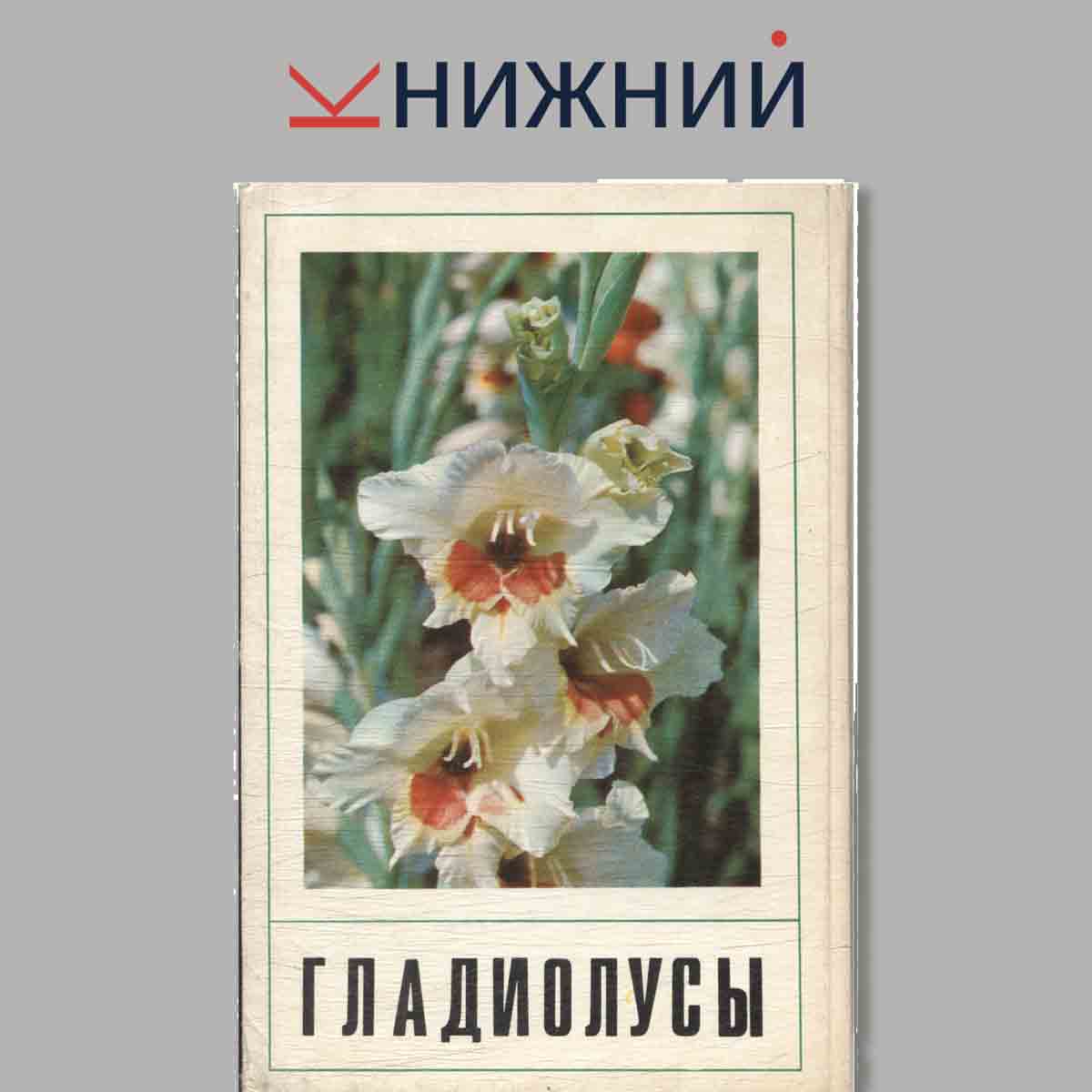 Набор открыток. Гладиолусы.