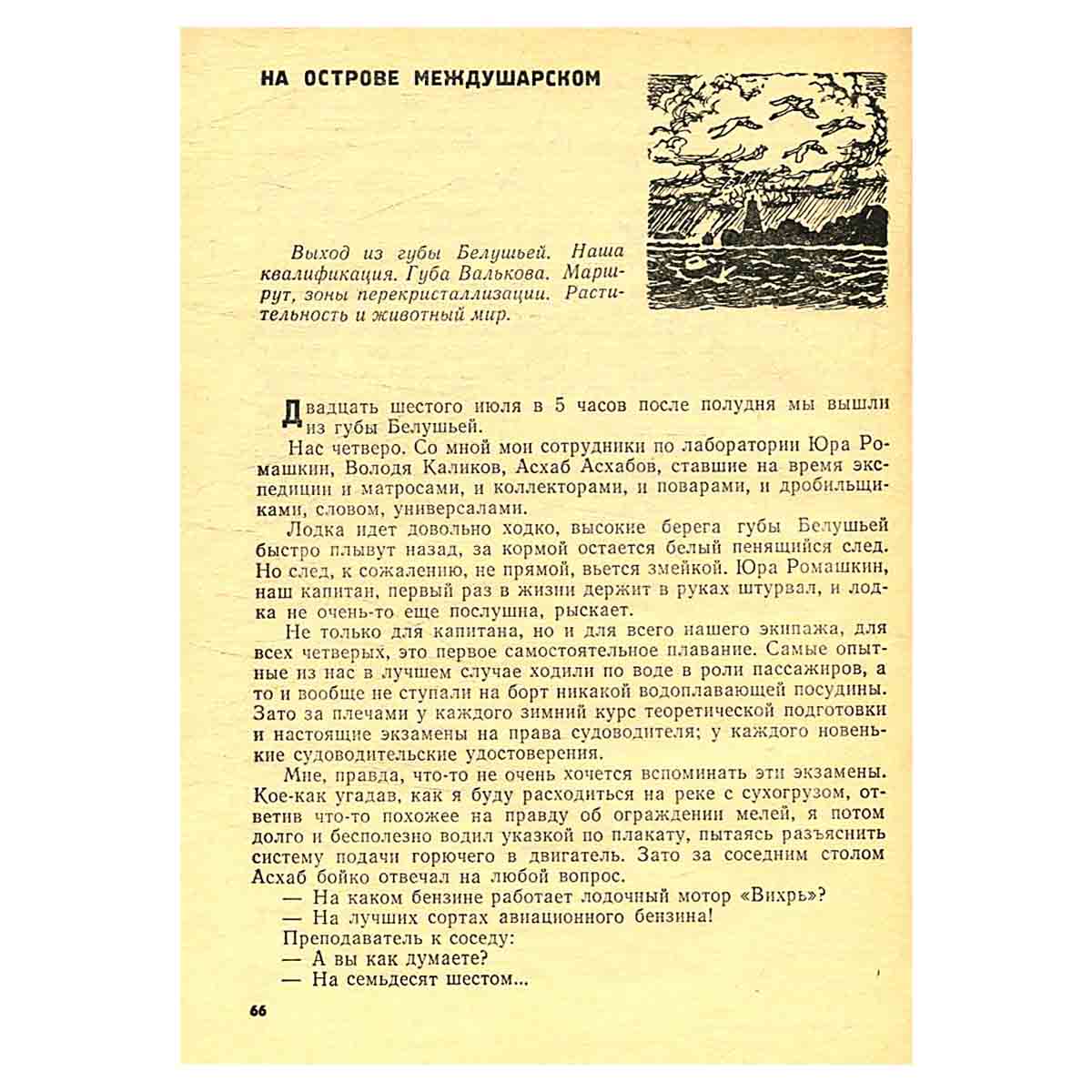 На островах Ледовитого
