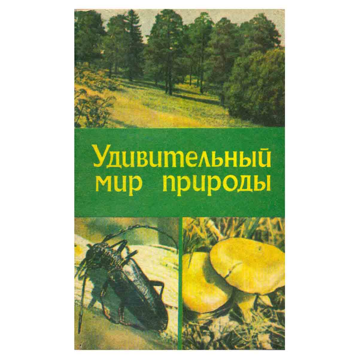 Удивительный мир природы
