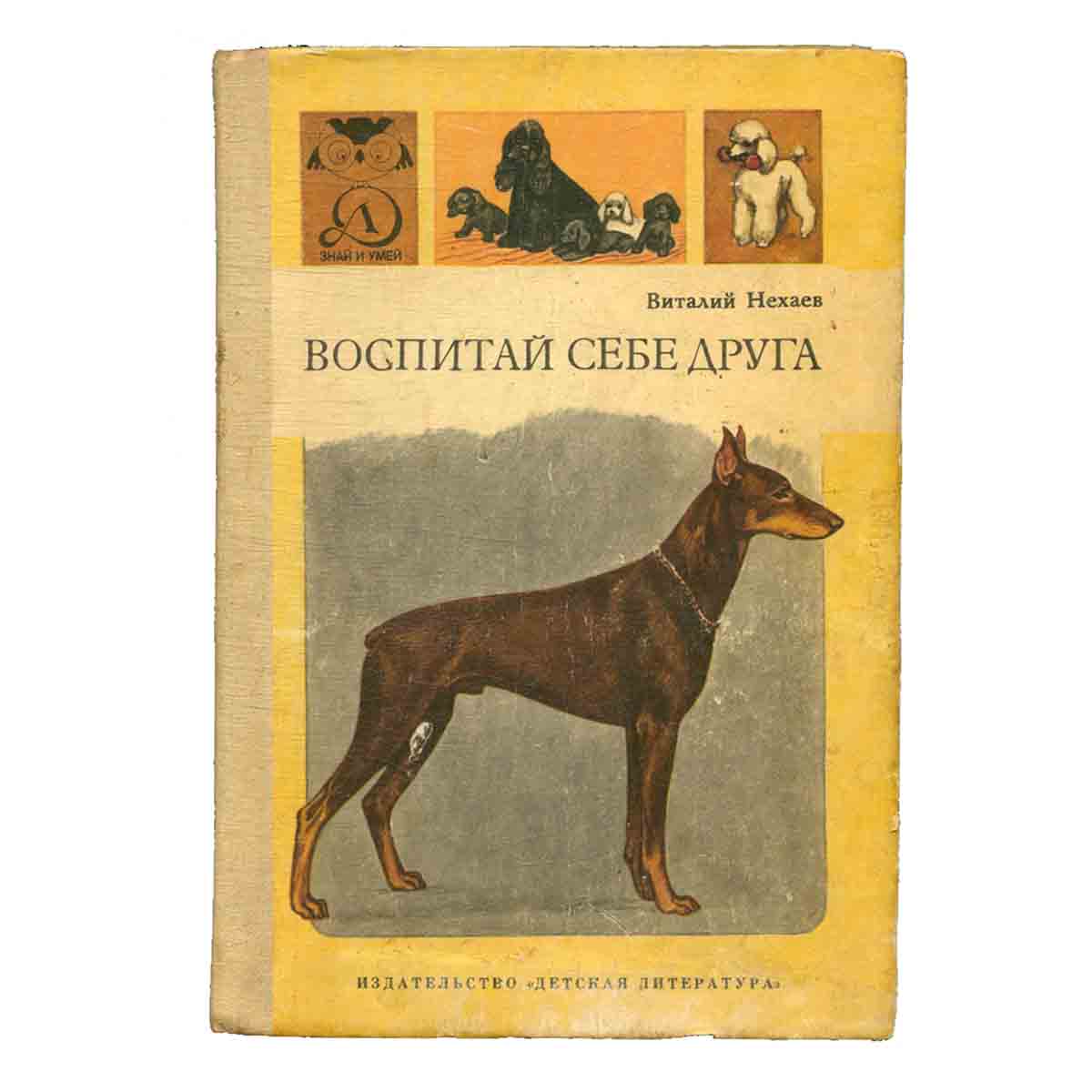 Воспитай себе друга