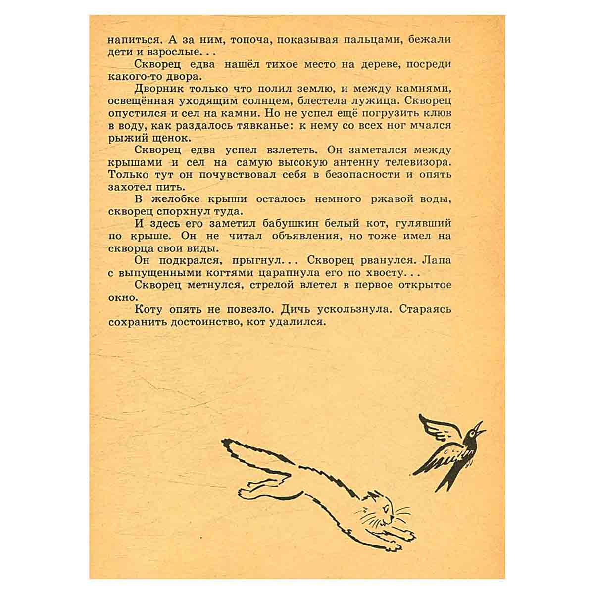 Катя и крокодил
