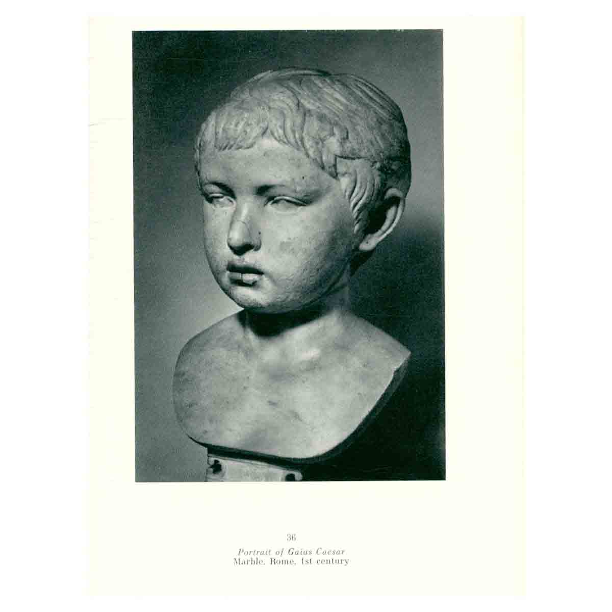 The Hermitage Guide