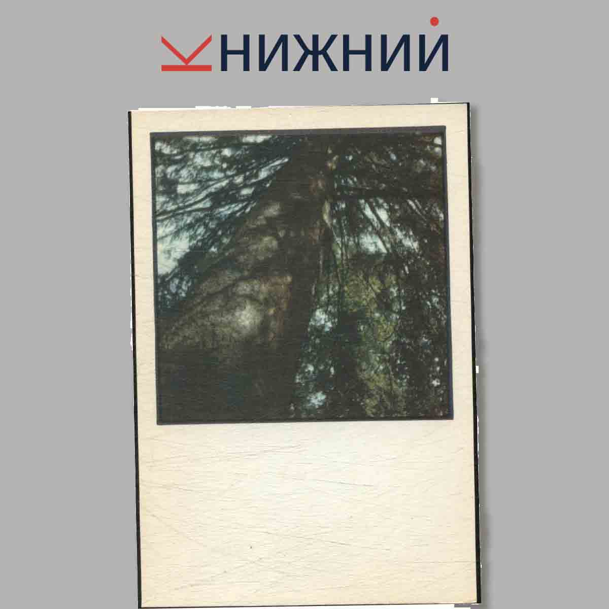 Набор открыток. Памятники природы Литвы. Lietuvos gamtos paminklai.
