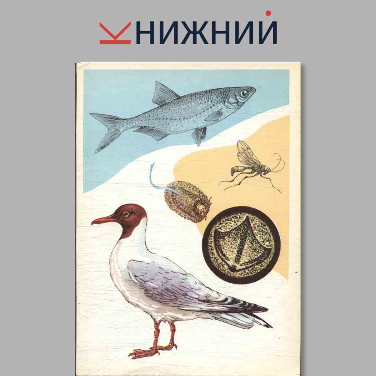 Набор открыток. У водоёма.