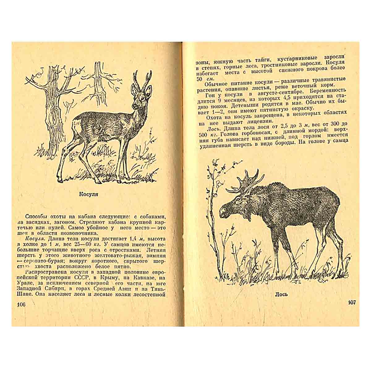 Охота