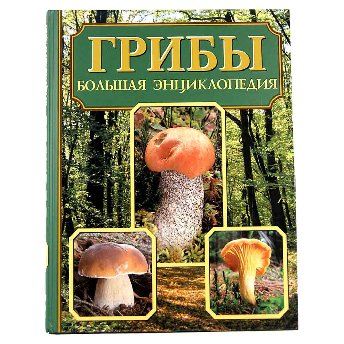Грибы. Большая энциклопедия