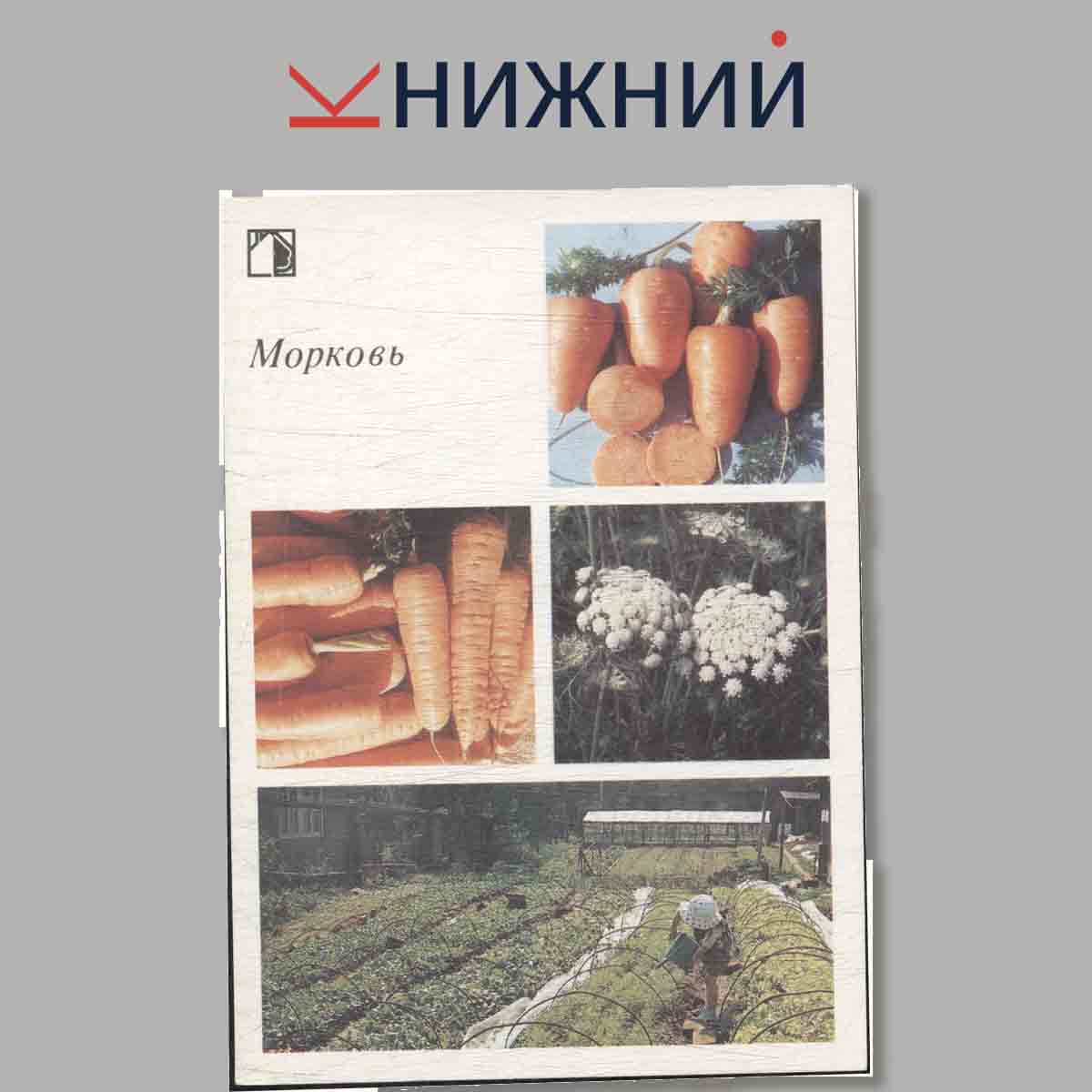 Набор открыток. Ваш приусадебный участок. Овощные культуры. Выпуск 1.