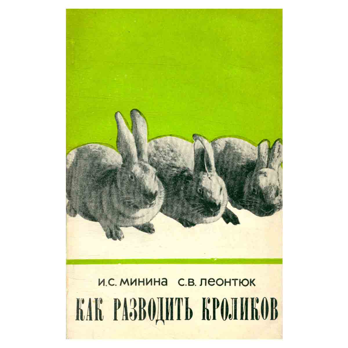 Как разводить кроликов