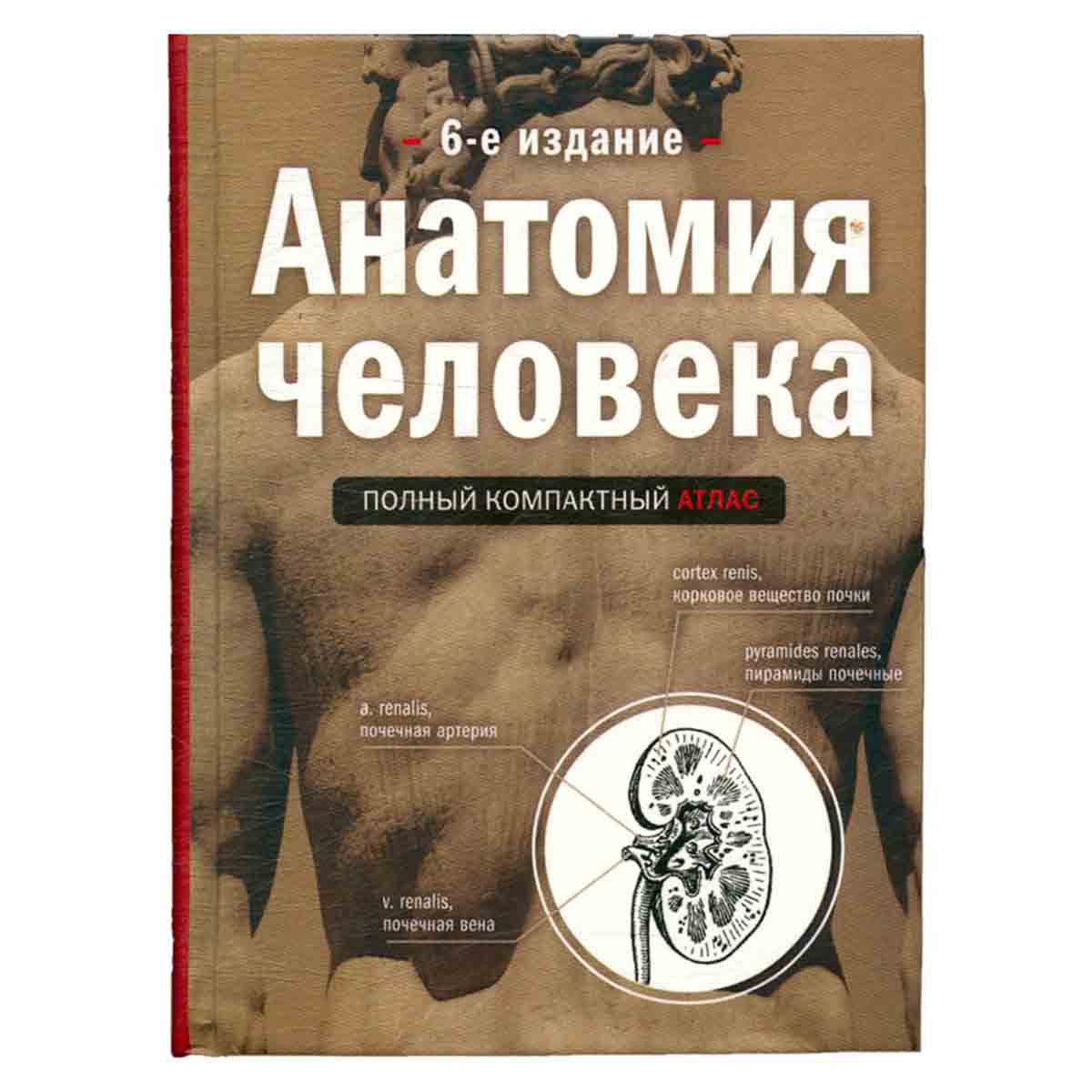 Анатомия человека. Полный компактный атлас.
