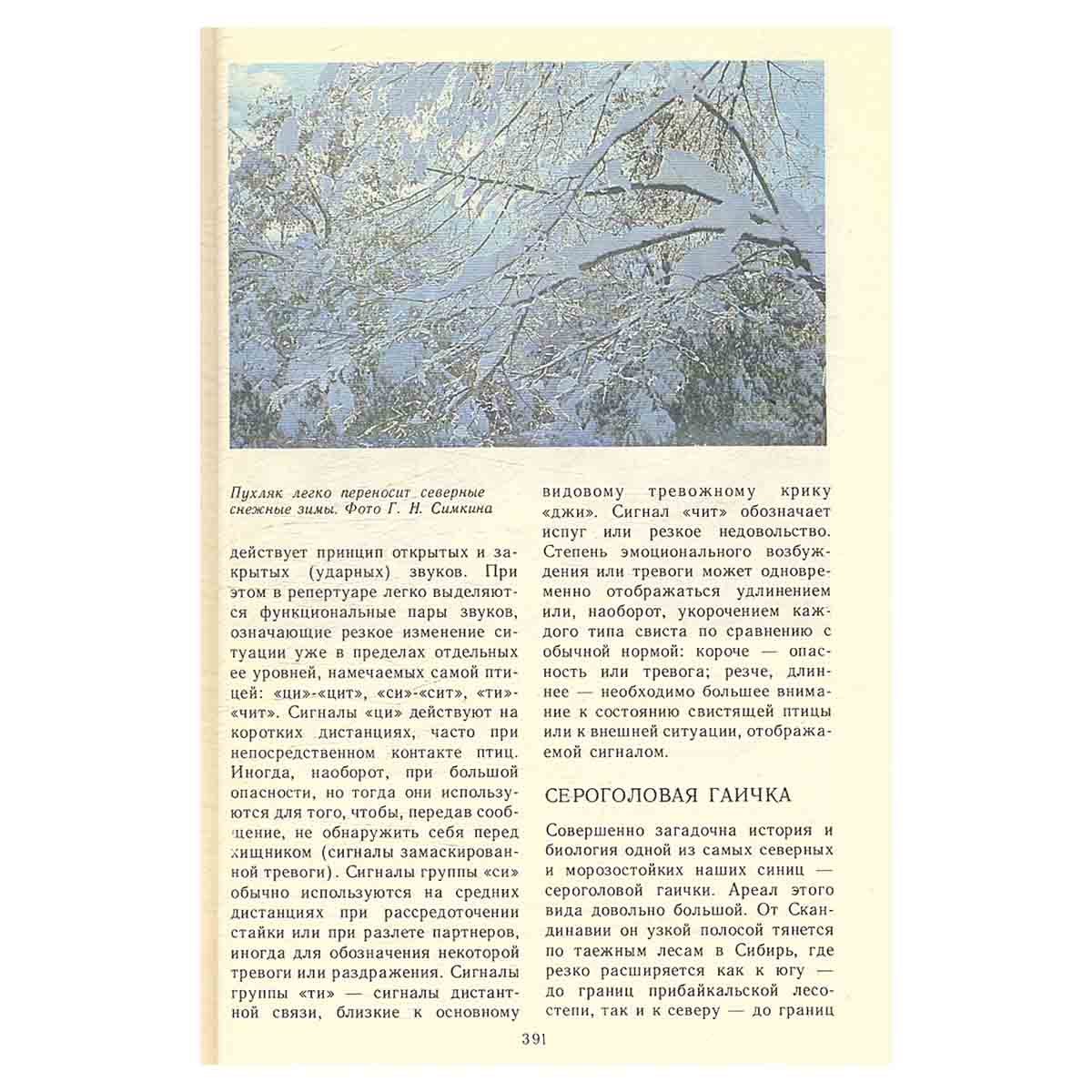 Певчие птицы