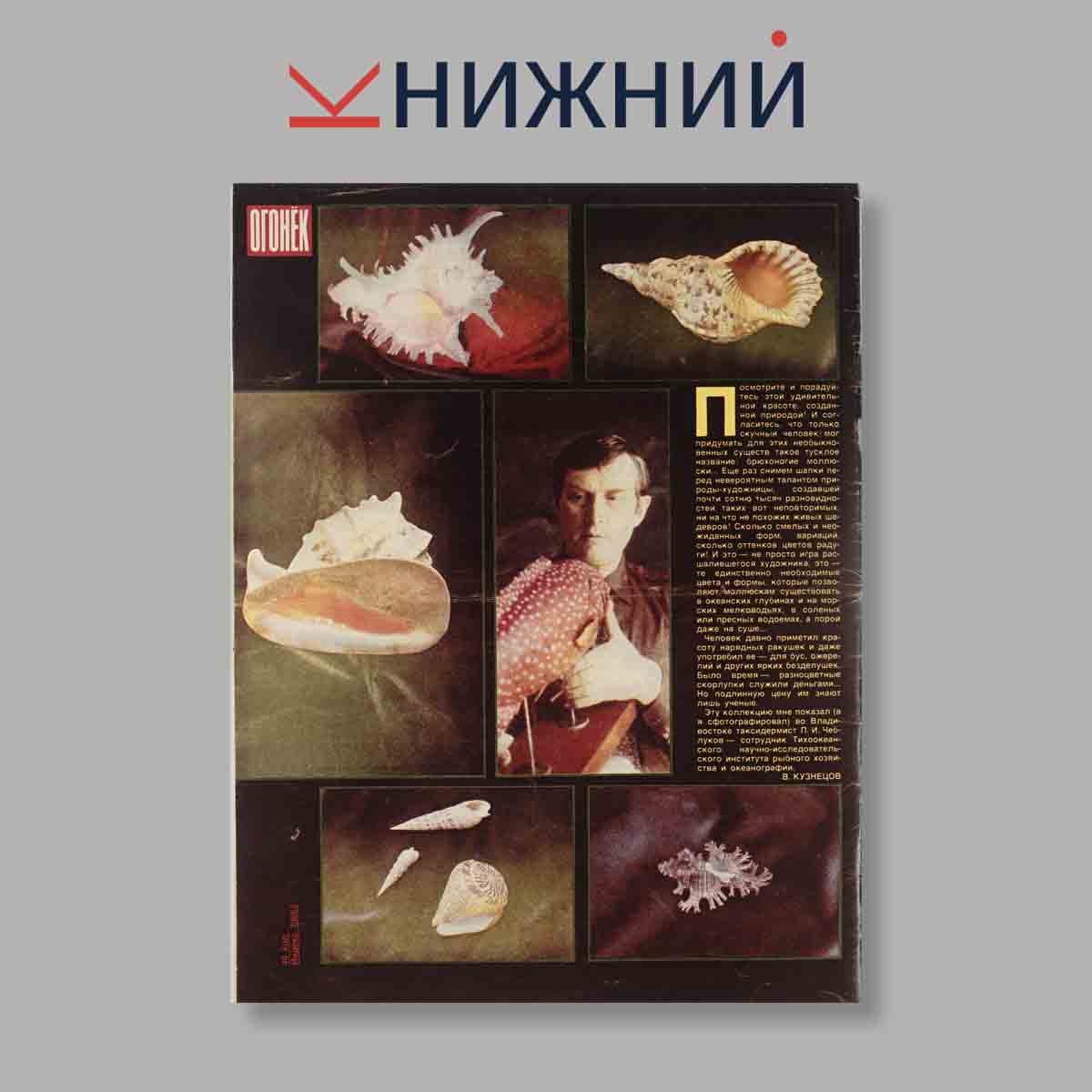 Журнал Огонёк. Выпуск № 16, 1989