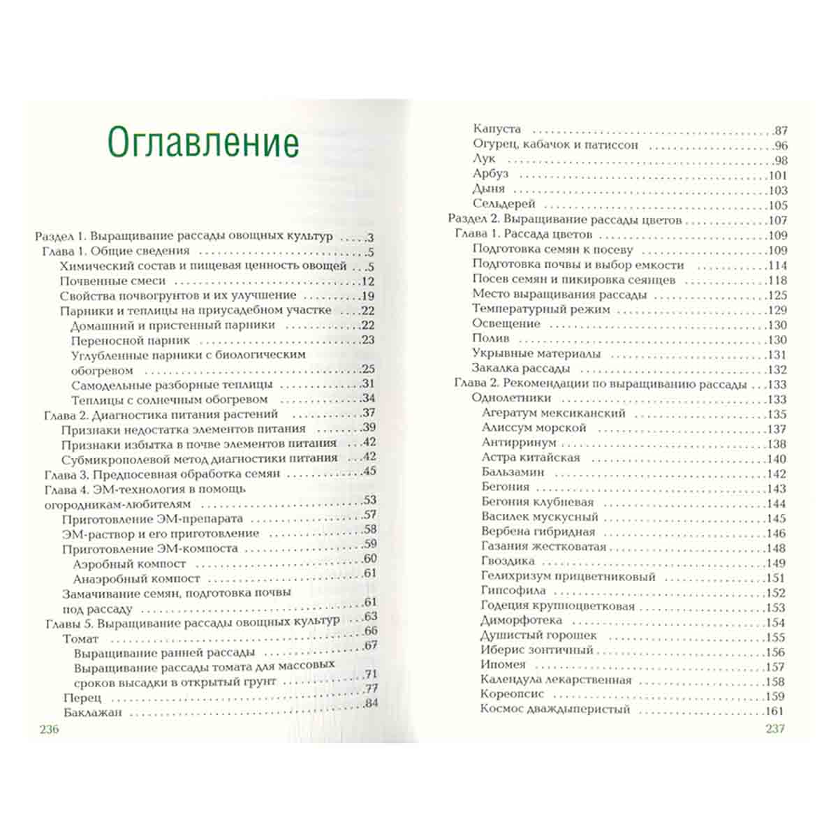 Рассада. Выращиваем без проблем