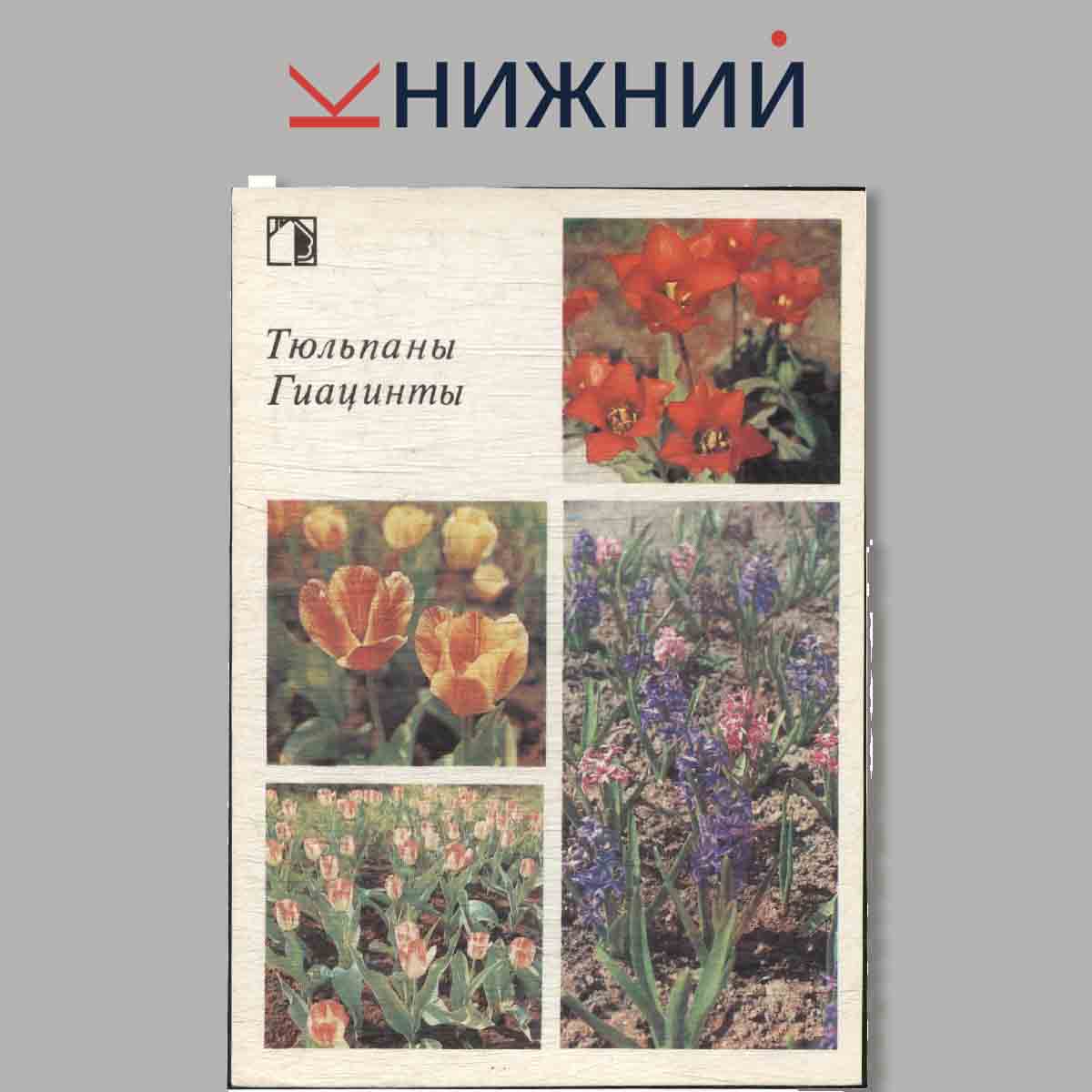 Набор открыток. Ваш приусадебный участок. Декоративные растения. Выпуск 3.