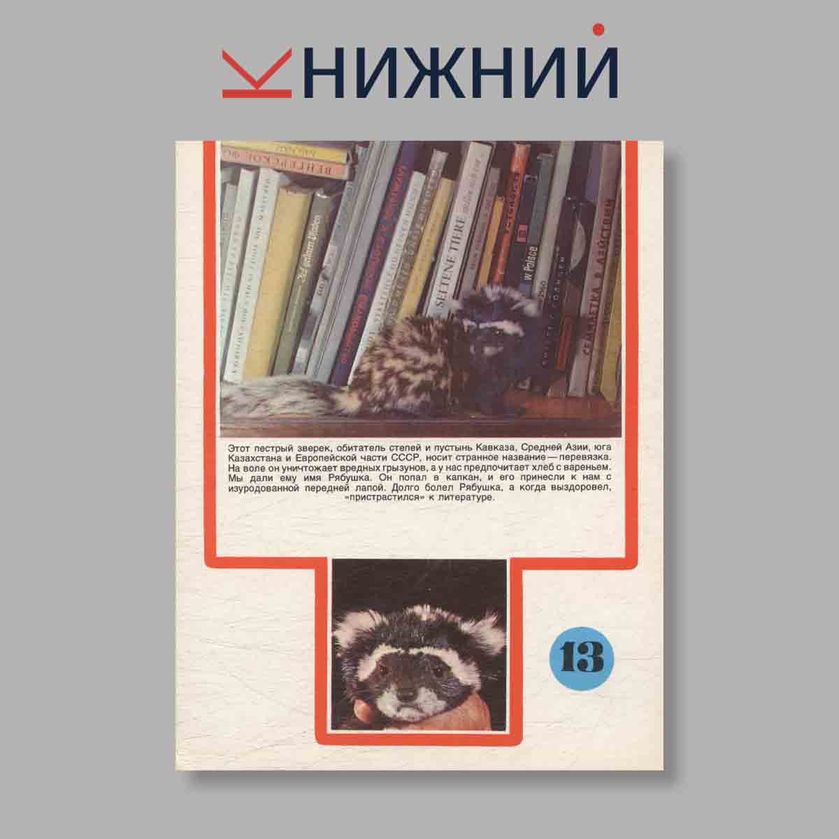 Набор открыток. "Айболит. Живет в Баку"