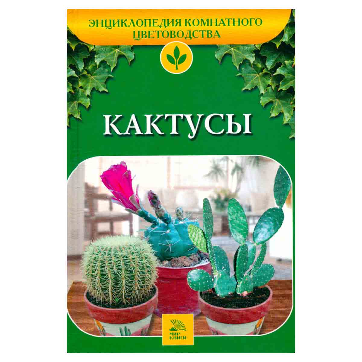 Кактусы