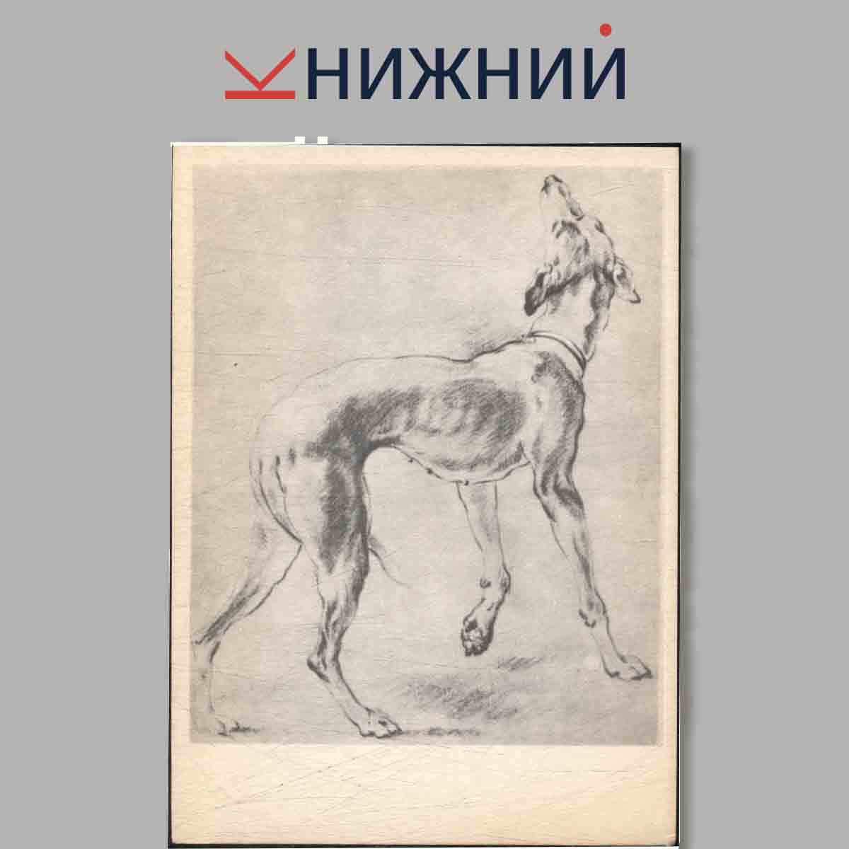 Набор открыток. Рисунки старых мастеров XVII-XVIII вв.
