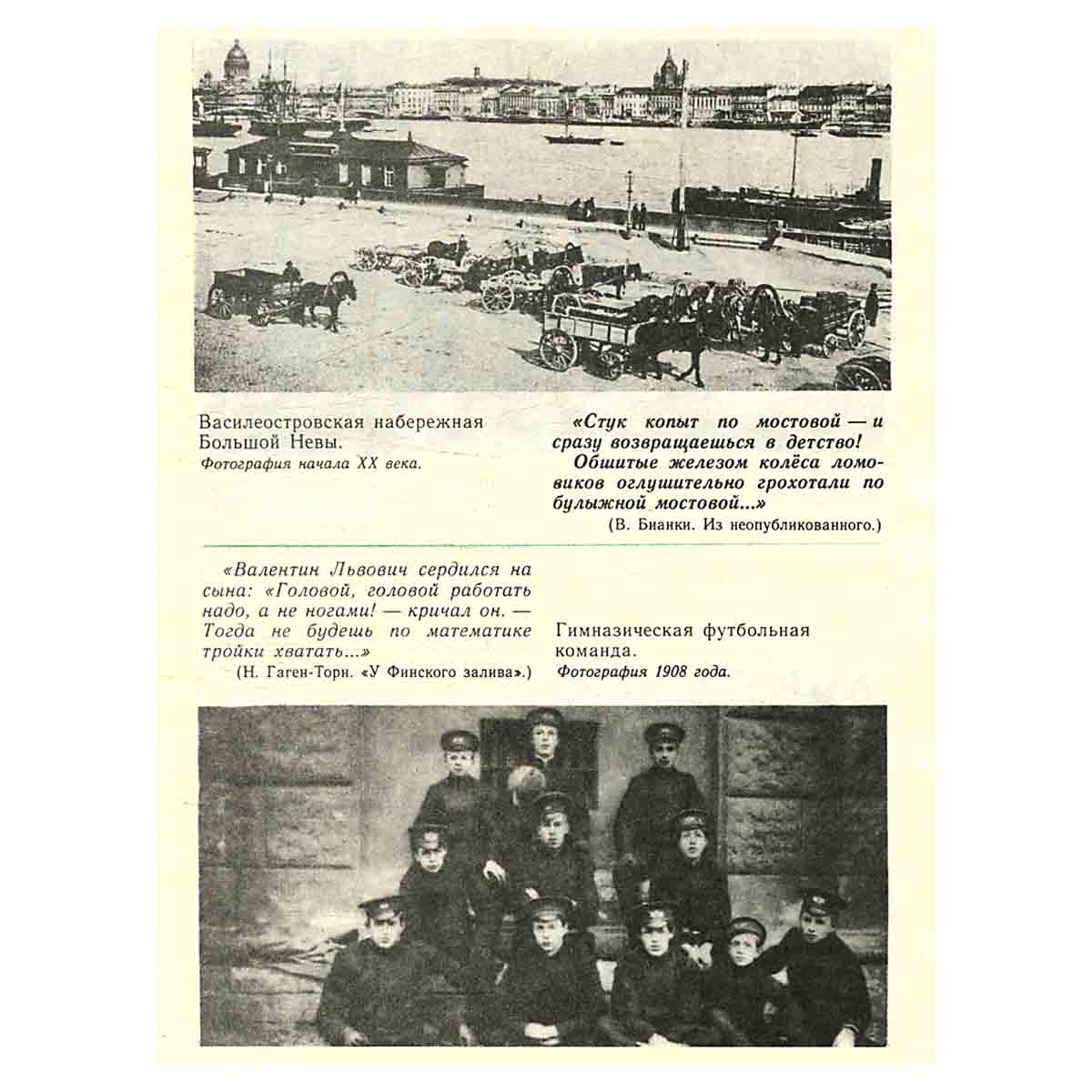 Отчего я пишу про лес