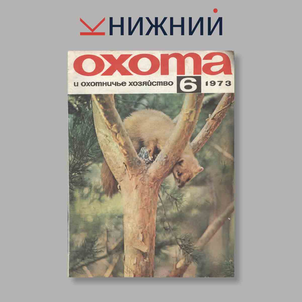 Журнал Охота и охотничье хозяйство. Выпуск № 6, 1973
