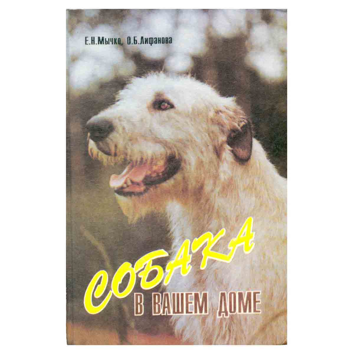 Собака в Вашем доме