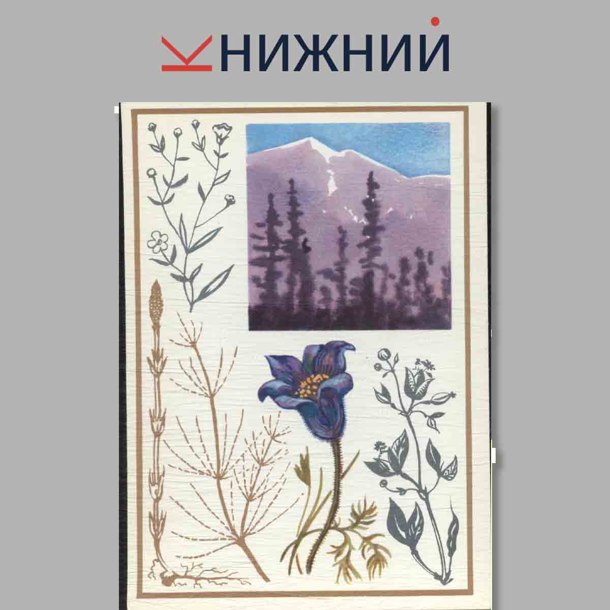 Набор открыток. Живые часы и барометры.