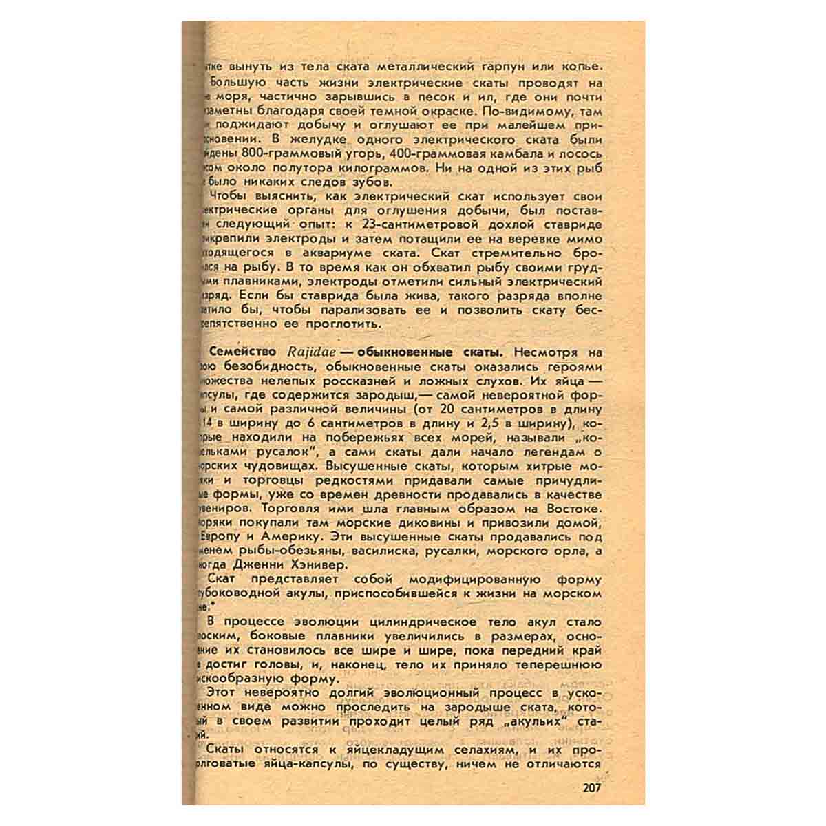 Тени в море. Акулы и скаты
