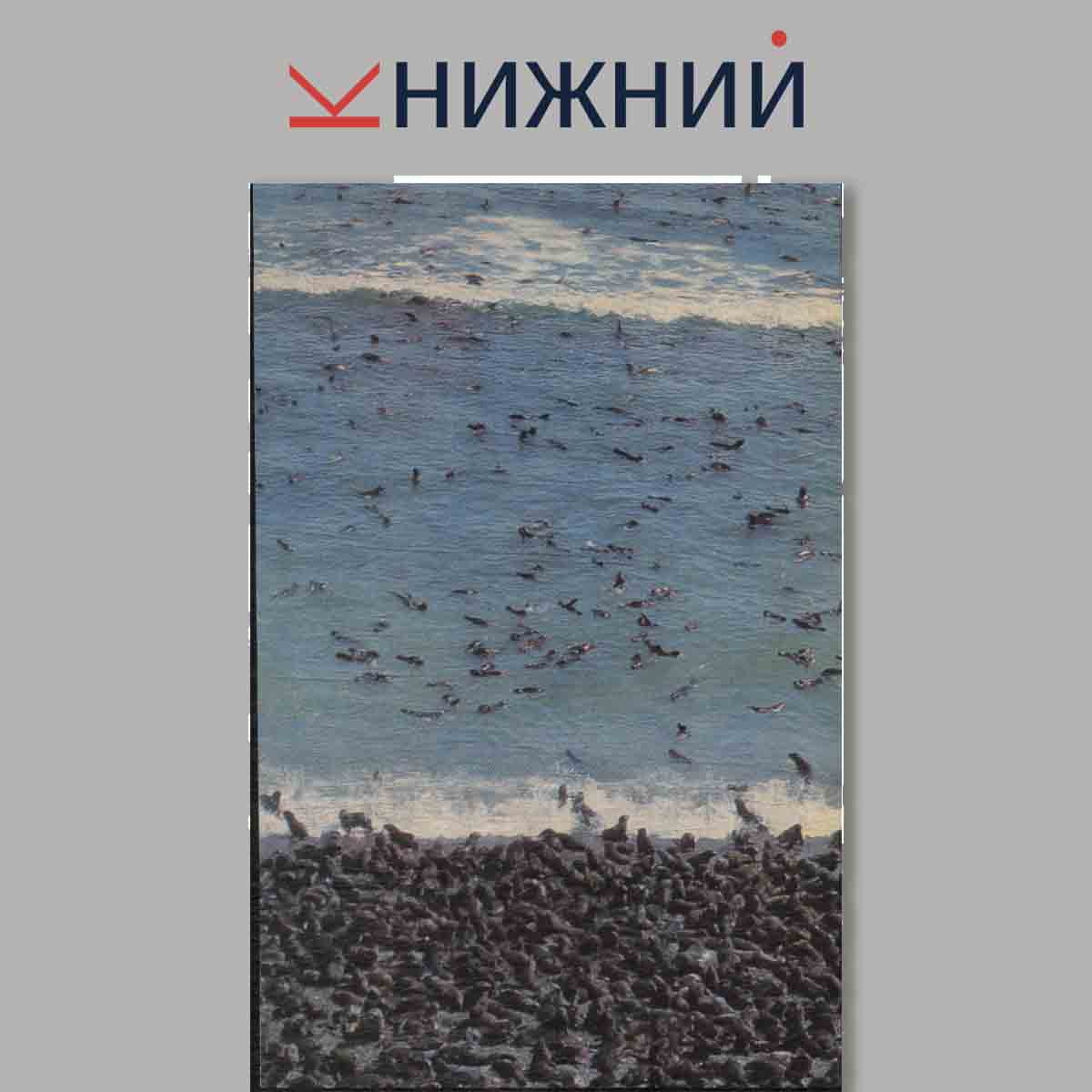 Набор открыток. Остров Тюлений.