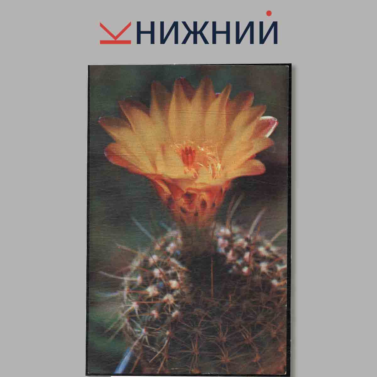 Набор открыток. Домашний сад. Увлечение.