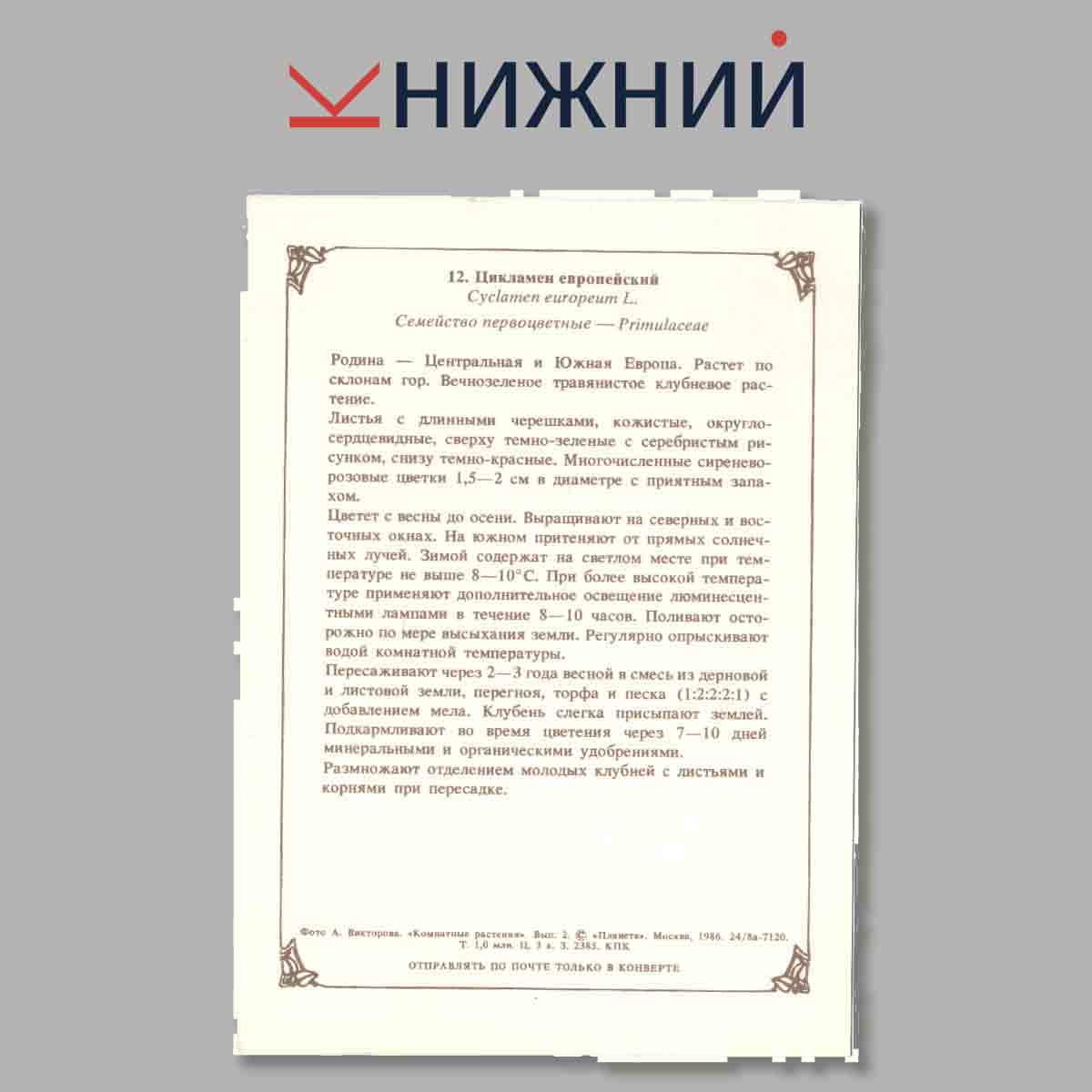 Набор открыток. Комнатные растения. Выпуск 2.