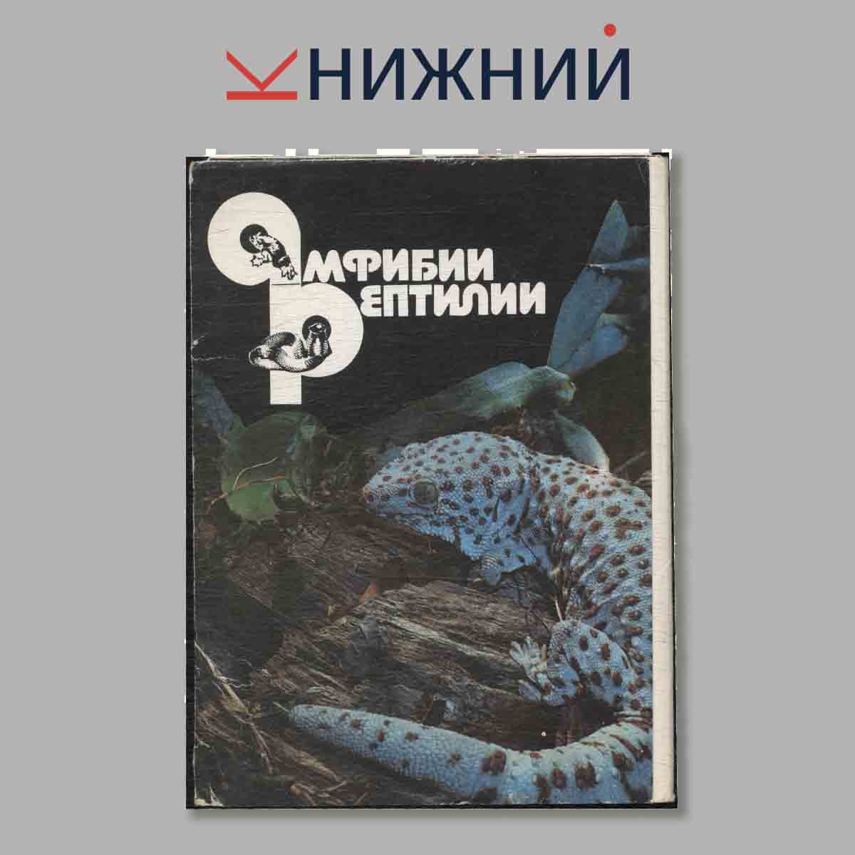 Набор открыток. Амфибии. Рептилии.