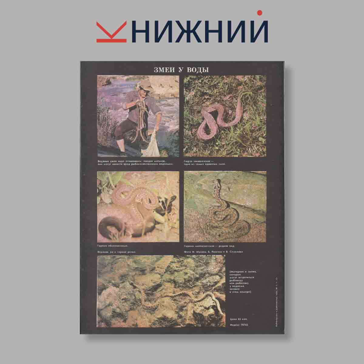 Журнал Рыбоводство и рыболовство. Выпуск № 5, 1983