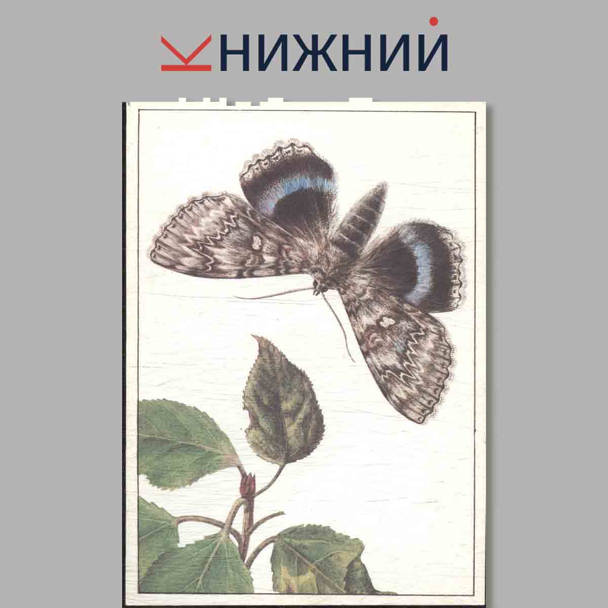 Набор открыток. Их нужно спасти. Красная книга СССР. Выпуск 4.