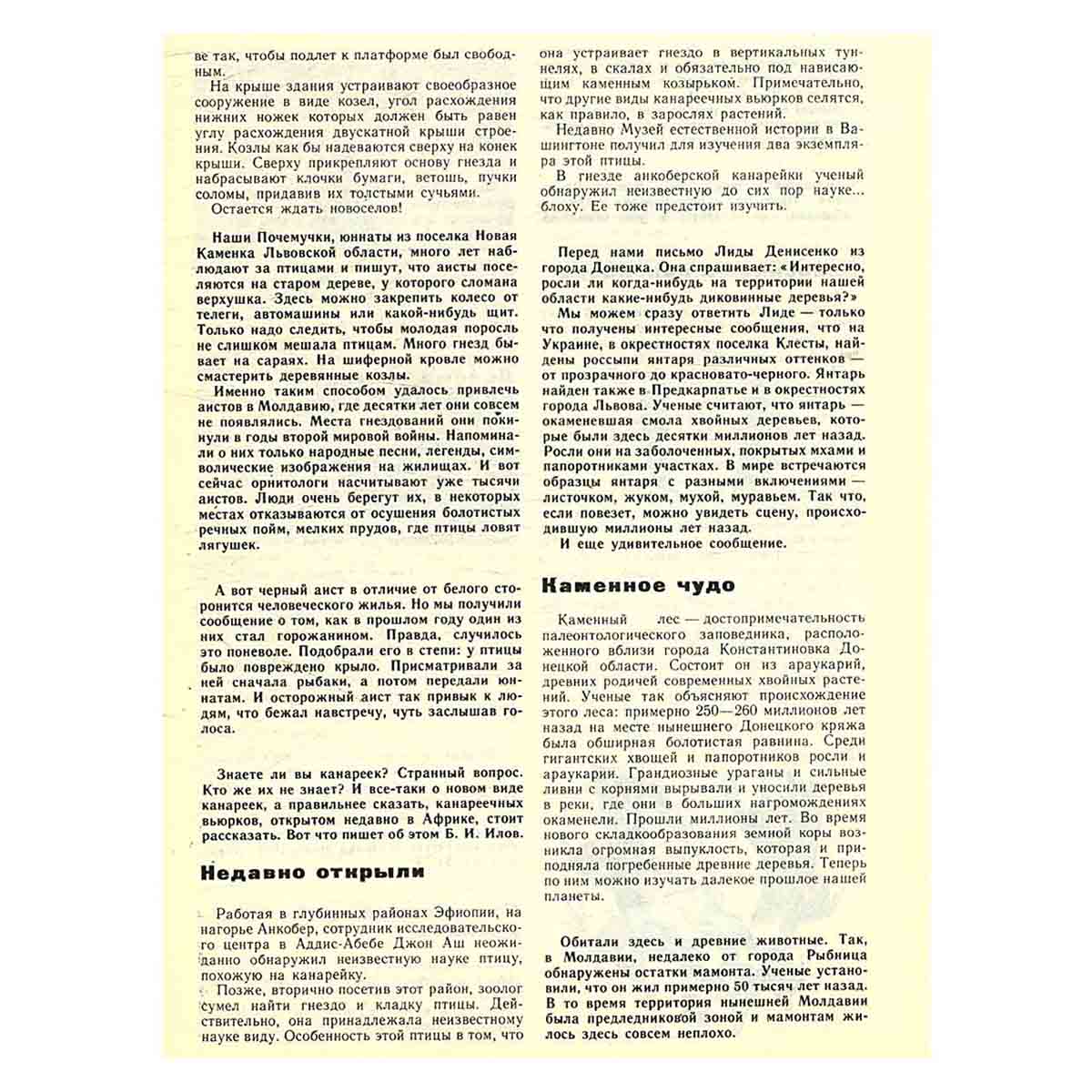 Журнал "Юный натуралист". Выпуск 10/ 1982 год