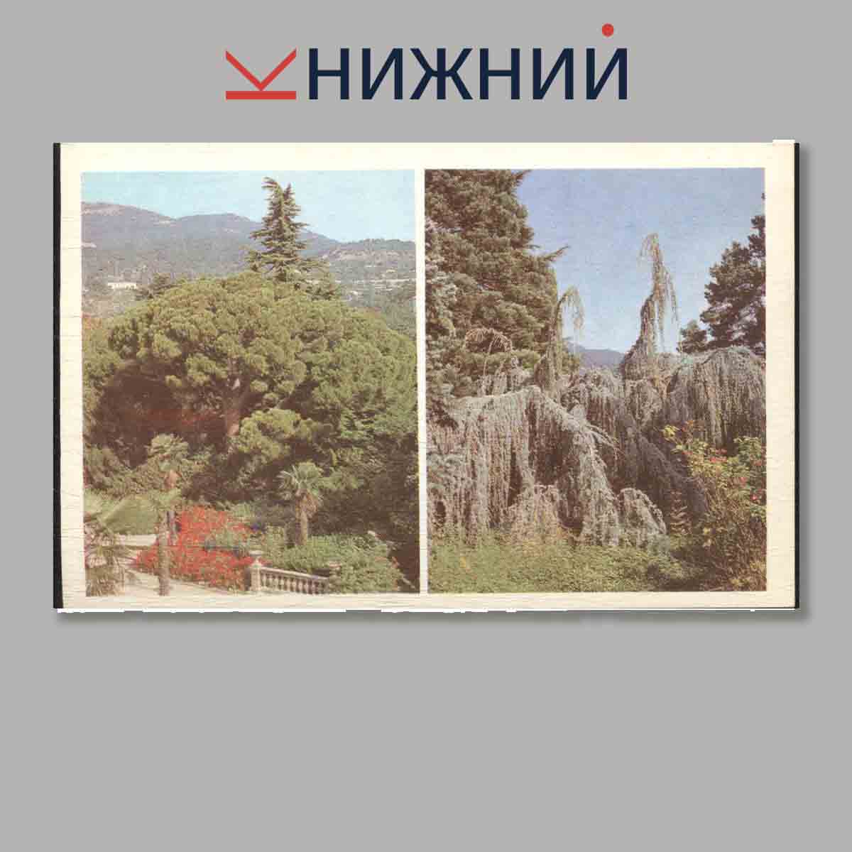 Набор открыток. Никитский Ботанический сад.