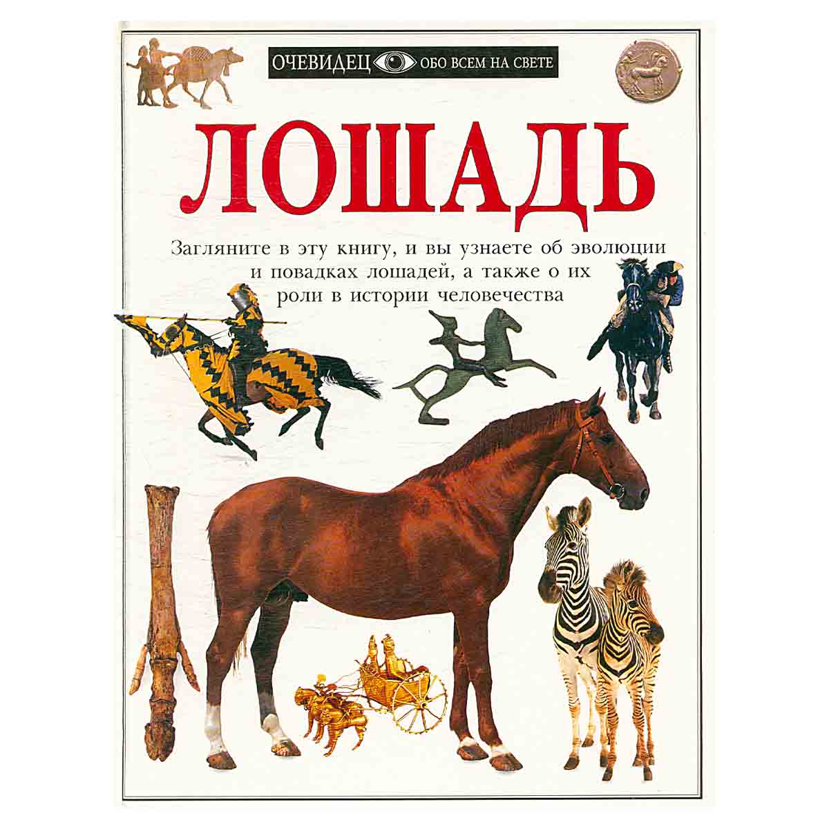 Лошадь